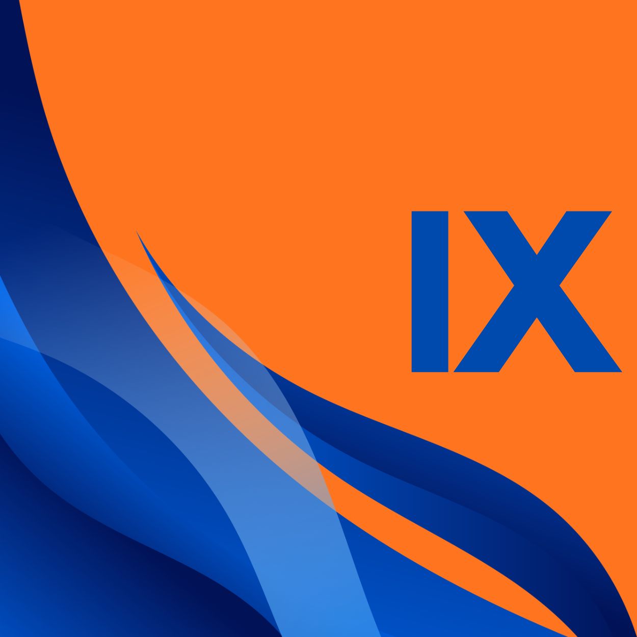 CLASS IX img