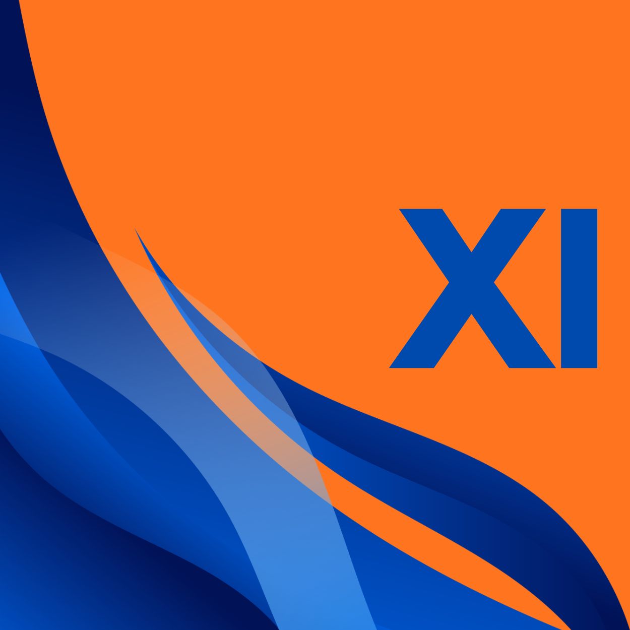 CLASS XI img